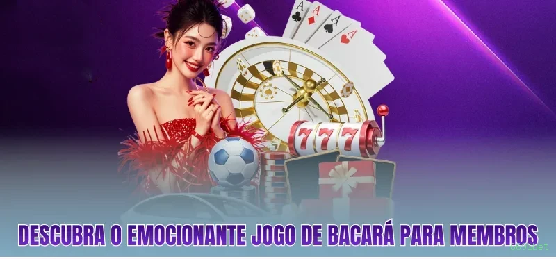6691bet