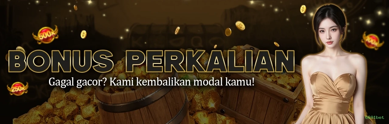 6691bet