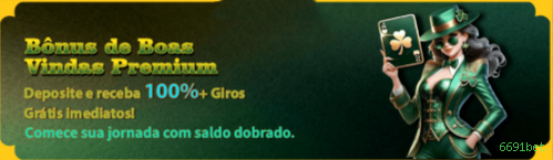 6691bet